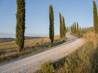 Dawn on a Gravel Road in Tuscany, Italy