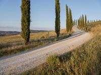 Dawn on a Gravel Road in Tuscany, Italy