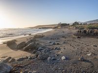 a grassy field by the shore and a cliff with rocks in the ocean in the background