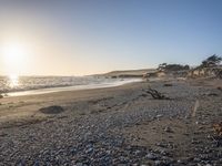 a grassy field by the shore and a cliff with rocks in the ocean in the background