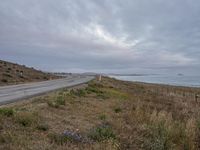 a deserted highway by the sea under grey and cloudy skies near the beach area with flowers and grass