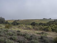 Dawn in California: A Stunning Landscape View