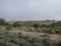 Dawn in California: A Stunning Landscape View