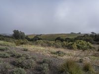 Dawn in California: A Stunning Landscape View