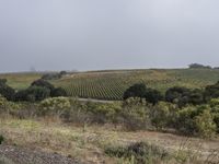 Dawn in California: A Stunning Landscape View