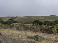 Dawn in California: A Stunning Landscape View