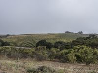 Dawn in California: A Stunning Landscape View