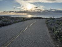 Dawn in California: Nature Landscape