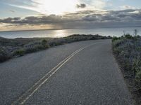 Dawn in California: Nature Landscape