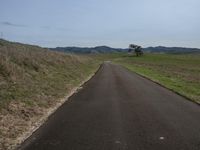 a road winding up to the grass and some hills with two trees in it's distance