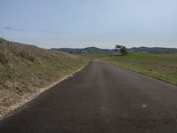 a road winding up to the grass and some hills with two trees in it's distance