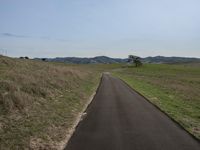 a road winding up to the grass and some hills with two trees in it's distance