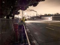 Dawn in California, USA: Sunlight on the Road