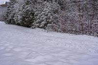 Dawn in Canada: A Gloomy Landscape