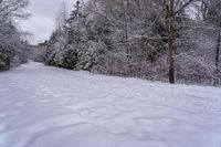 Dawn in Canada: A Gloomy Landscape