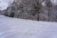 Dawn in Canada: A Gloomy Landscape