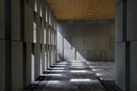 sunlight shining through the windows of a building lobby and onto a wall lined with small grey columns