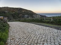 a paved road near the ocean by a rocky hilltop, surrounded by vegetation, with a bench in the distance