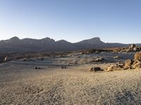 a desert area with rocks, trees and mountains in the background with a clear blue sky