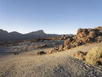 a desert area with rocks, trees and mountains in the background with a clear blue sky