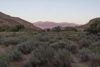 Dawn in the Utah Desert: Open Spaces and Red Rocks