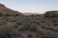 Dawn in the Utah Desert: Open Spaces and Red Rocks