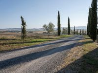 Dawn in Tuscany, Italy: Nature's Serene Landscape