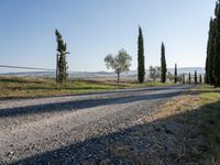 Dawn in Tuscany, Italy: Nature's Serene Landscape