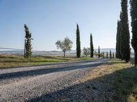 Dawn in Tuscany, Italy: Nature's Serene Landscape