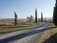 Dawn in Tuscany, Italy: Nature's Serene Landscape