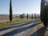 Dawn in Tuscany, Italy: Nature's Serene Landscape