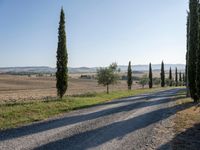 Dawn in Tuscany, Italy: Nature's Serene Landscape