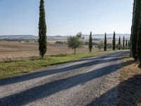 Dawn in Tuscany, Italy: Nature's Serene Landscape