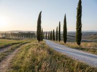 a long stretch of road with trees in the distance and hills in the background,