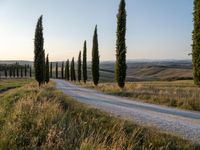 a long stretch of road with trees in the distance and hills in the background,