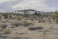 Dawn in Yucca Valley, California