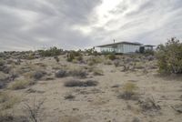 Dawn in Yucca Valley, California