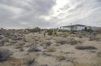 Dawn in Yucca Valley, California