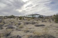 Dawn in Yucca Valley, California