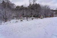 a snow skier travels along a snowy trail in the woods and trees of a city