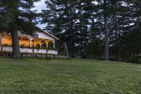 two fire hydrants in the grass near a building at night or day and many pine trees