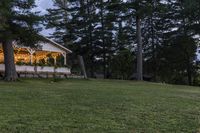 two fire hydrants in the grass near a building at night or day and many pine trees