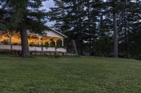 two fire hydrants in the grass near a building at night or day and many pine trees