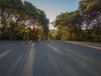 a person riding a skateboard on top of a road near trees on a hill