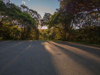 a person riding a skateboard on top of a road near trees on a hill