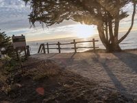 Dawn Landscape on Coastal Road in California, USA