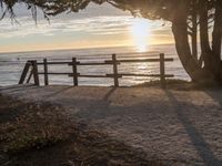 Dawn Landscape on Coastal Road in California, USA