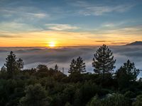 a view over fog covered valley with mountains on either side of it and the sun setting over the trees