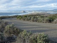 a road going to the beach towards a body of water and mountains, surrounded by scrub