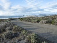 a road going to the beach towards a body of water and mountains, surrounded by scrub